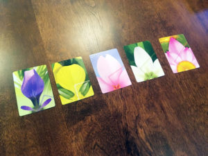 Lotus Cards