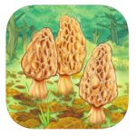 Morels iOS