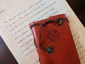 The Journal of Flintlock Flynn