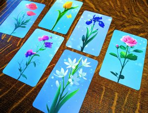 Blossoms Cards