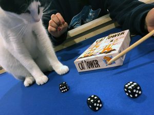 Cat Tower Dice