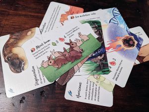 Darwin's Choice Cards