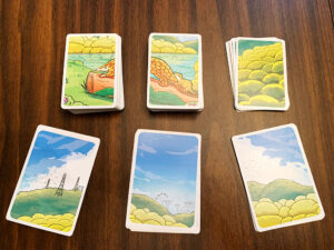 Rainforest City Cards