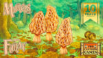 Morels