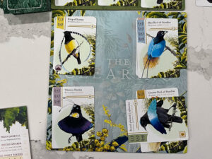 Birdwatcher Cards