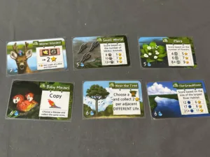 Life of the Amazonia Cards